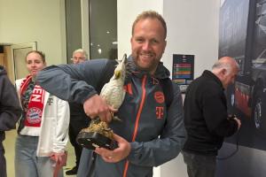 2026世界杯买球官网-鹦鹉被拜仁‘偷’走？餐厅老板：希望它能永远留在拜仁并带来好运